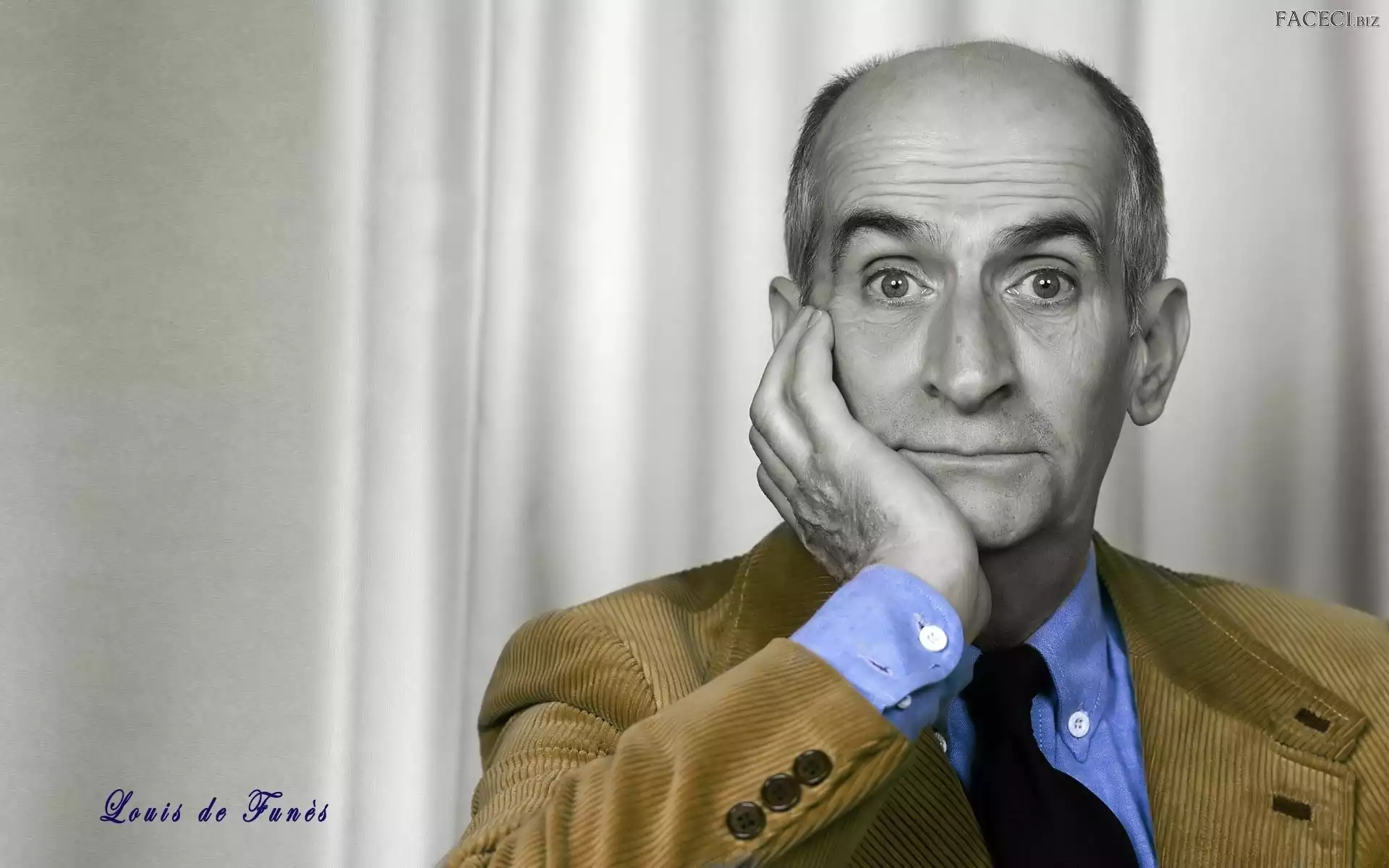 Louis de Funes, Aktor