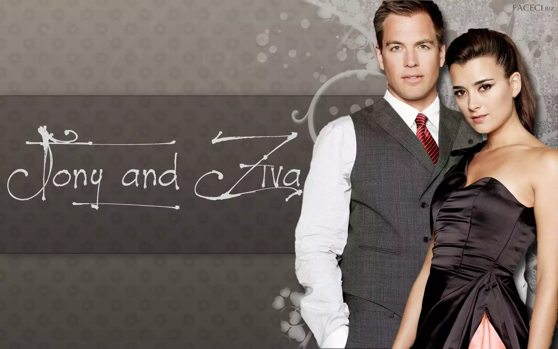 Agenci NCIS, Cote de Pablo, Seriale, Michael Weatherly